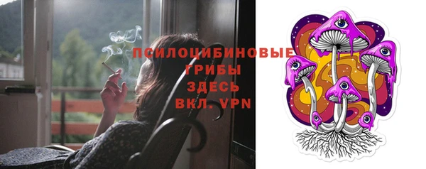 стаф Богородск