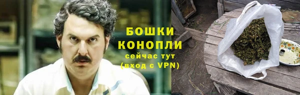 стаф Богородск