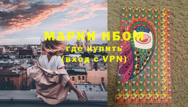 стаф Богородск
