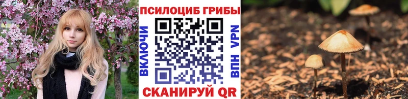 площадка официальный сайт  Краснообск  Псилоцибиновые грибы MAGIC MUSHROOMS 